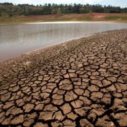 Kekeringan bikin sungai di brasil berubah hijau