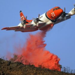 Potret pesawat berjuang padamkan kebakaran hutan california