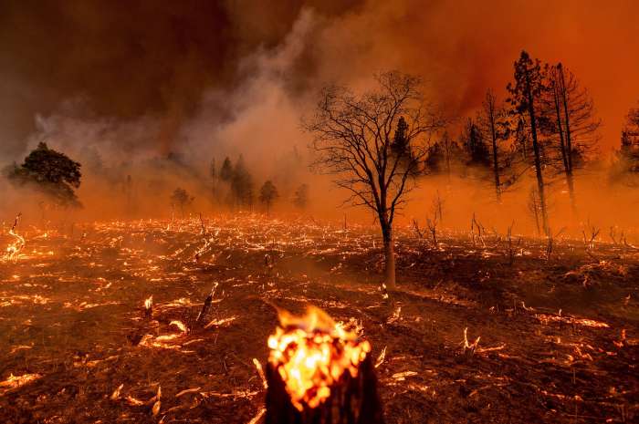 Kebakaran hebat hanguskan hutan di california