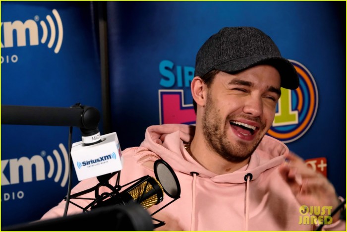 CHUTOGEL pengaruh Liam Payne terhadap tren musik